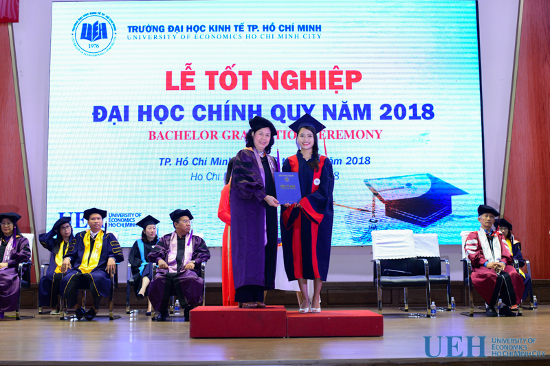 cá cược thể thao hul city